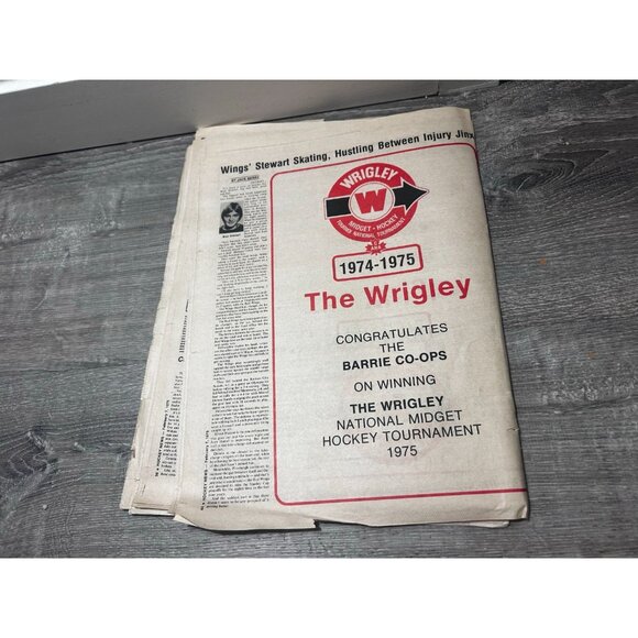 The Hockey News Vol 28 No. 18 Paperback February 7,1975 - Picture 5 of 5